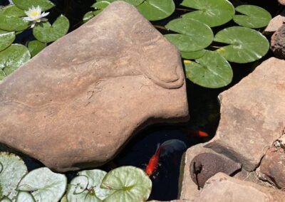 pond - water feature in Sedona landscape